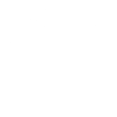 NPM Geomatics